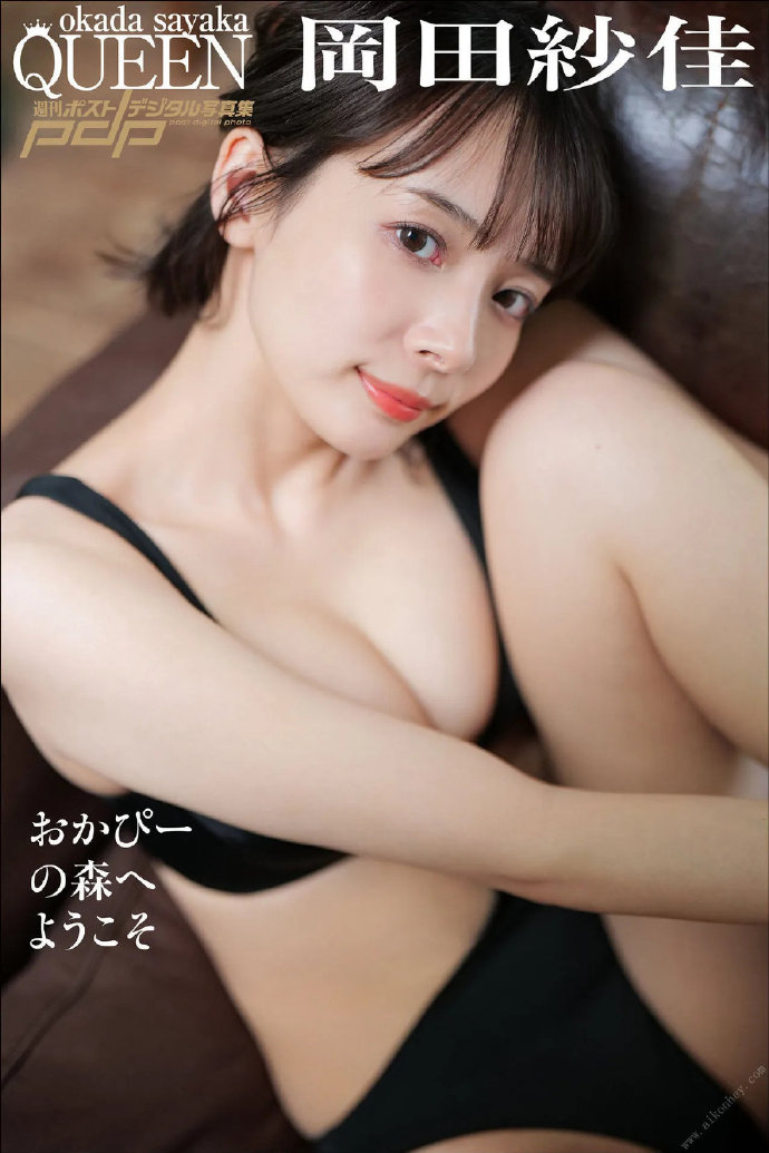 琅琊榜 封面